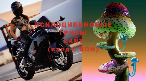соль курить ск Белокуриха