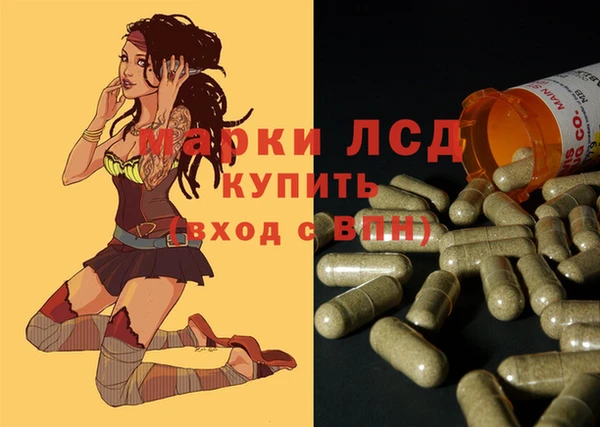гашик Беломорск