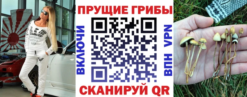 Галлюциногенные грибы Cubensis  KRAKEN вход  Валуйки  магазин продажи  