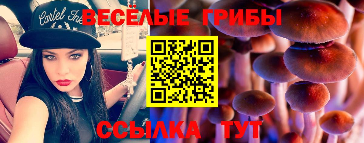 Валуйки  продажа наркотиков  Вход с VPN  Галлюциногенные грибы прущие грибы 